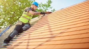 Best Asphalt Shingle Roofing  in Bellview, FL