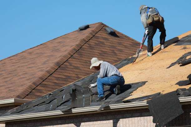 Best Wood Shake Roofing  in Bellview, FL