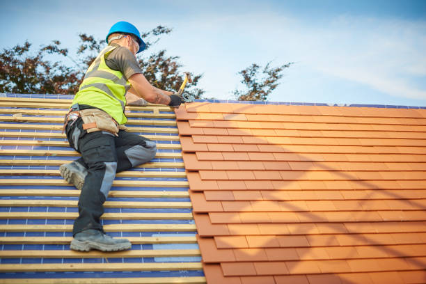 Best Rubber Roofing (EPDM, TPO)  in Bellview, FL
